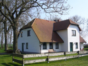 Haus Fünfschläfer, Dreschvitz